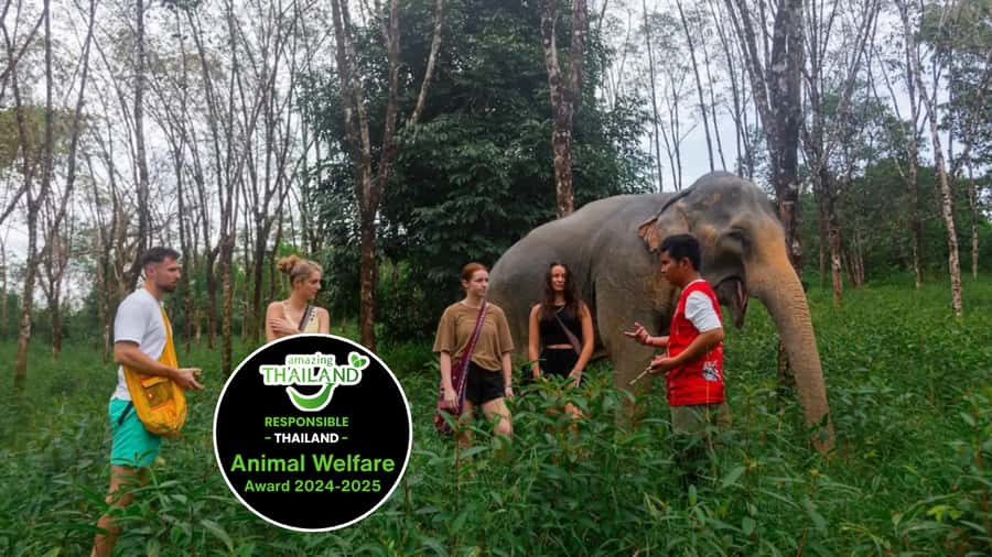 Phuket: Elephant Sanctuary Tour, Cooking Class & Lunch - Entering the Sanctuary: Walking the Reserve and Learning Elephant Behavior