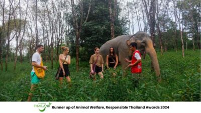Phuket: Elephant Sanctuary Tour, Cooking Class & Lunch - Getting There: The 7-Hour Plan and the Ride You’ll Actually Feel
