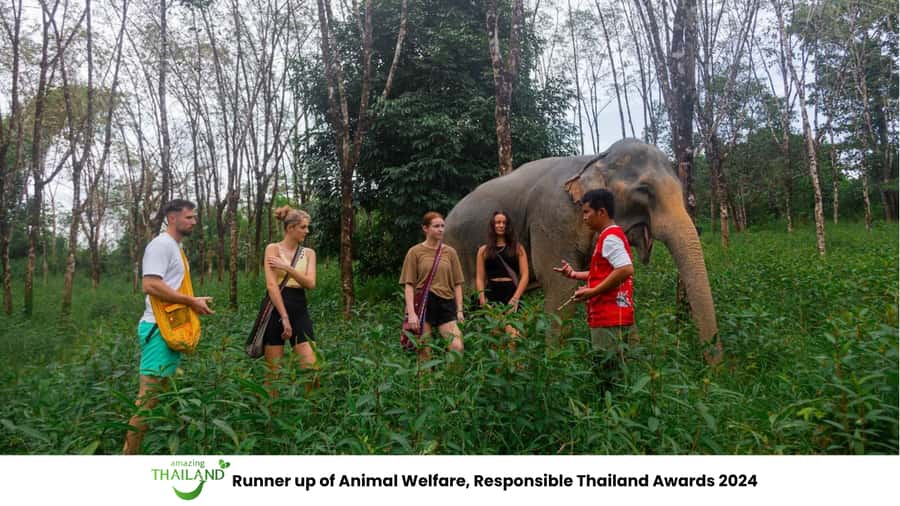 Phuket: Elephant Sanctuary Tour, Cooking Class & Lunch - Getting There: The 7-Hour Plan and the Ride You’ll Actually Feel
