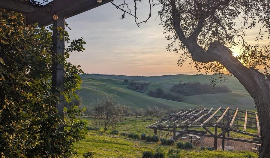 Pienza: Tuscan Cooking Class of Homemade Pastas and Cantucci - Tuscany cooking at Podere Spedalone feels like more than a demo