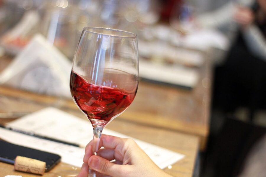 Premium Empanadas Cooking Class & Wine Tasting Experience - Should you book the Premium Empanadas Cooking Class & Wine Tasting Experience?