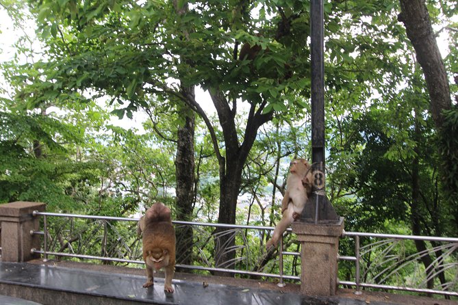 Private food Tour + Sightseeing +Thai Cooking class - Landmarks and Thai culture: learning without turning it into a lecture