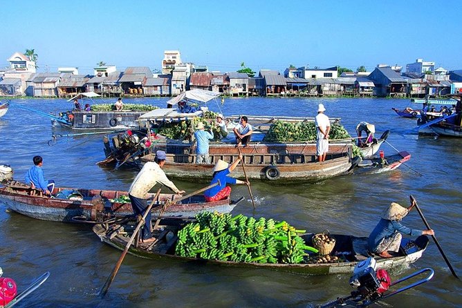 PRIVATE LUXURY Mekong 1 Day with Biking, Fishing, Cooking Class & BBQ LUNCH - Turtle Island and hand-rowed canal time: quieter water, better photos