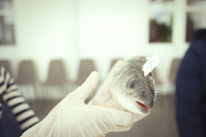 Private Mediterranean Fish Cooking Workshop with Irena - What you’ll cook: from seabass prep to raw fish safety