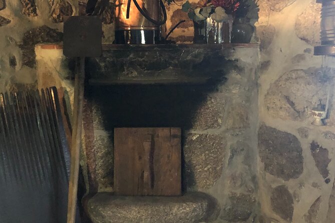 Private Traditional Cooking Class on a Historic Farm near Porto - Starter Chaos That Turns Into Confidence: Cod Frites and Sardines Cutlets