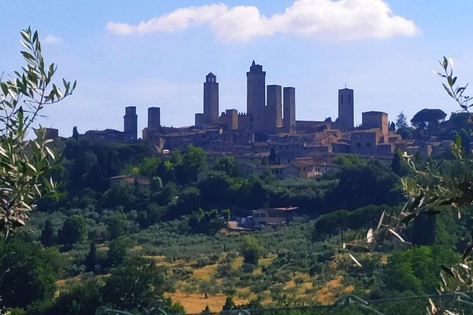 Private Tuscan Cooking Class And Wine Tasting in Radda in Chianti - The Hands-On Cooking Lesson: Three Recipes From Scratch