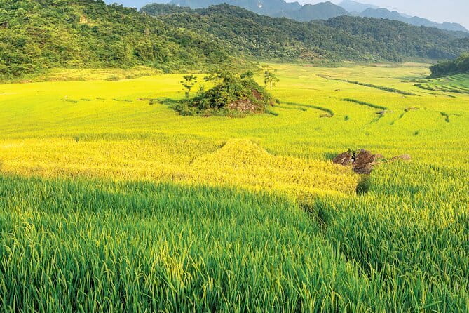 Pu Luong 3-Day Adventure: Trekking, Cycling & Local Cooking Class - Early Pickup to Pu Luong Nature Reserve: What Your Mornings Look Like