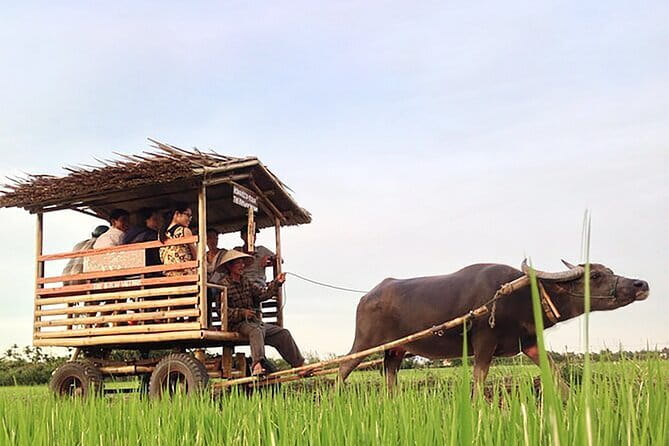 Pu Luong 3-Day Adventure: Trekking, Cycling & Local Cooking Class - Trekking Through Rice Country: How Pu Luong Works as an Adventure Base