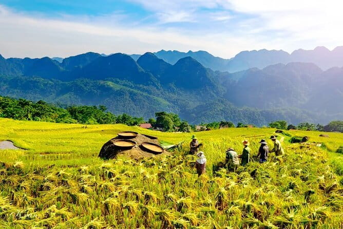 Pu Luong 3-Day Adventure: Trekking, Cycling & Local Cooking Class - Lan Village Silk Weaving and Thai Household Visits