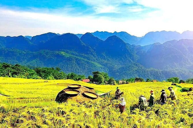 Pu Luong Day Tour: Trekking Villages, Bamboo Rafting & Waterfall - Pu Luong in 8 Hours: Packing Village Life, Water and Work