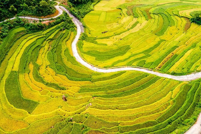 Pu Luong Day Tour: Trekking Villages, Bamboo Rafting & Waterfall - Price Value at $55: What You Actually Pay For