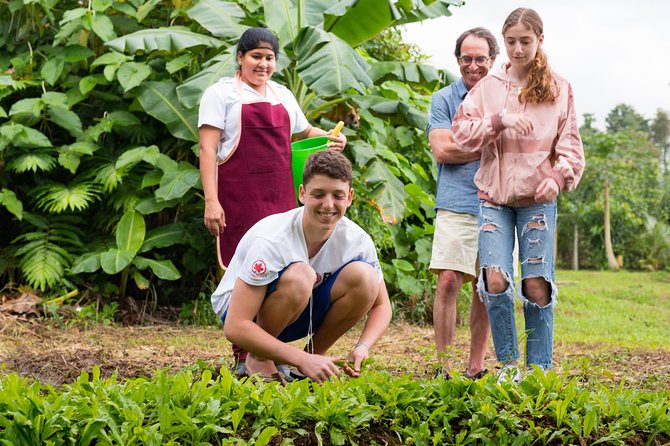 Pura Vida Cooking Class in La Fortuna (From farm to table) - La Finquita Farm Tour: Your Meal Starts With Real Dirt