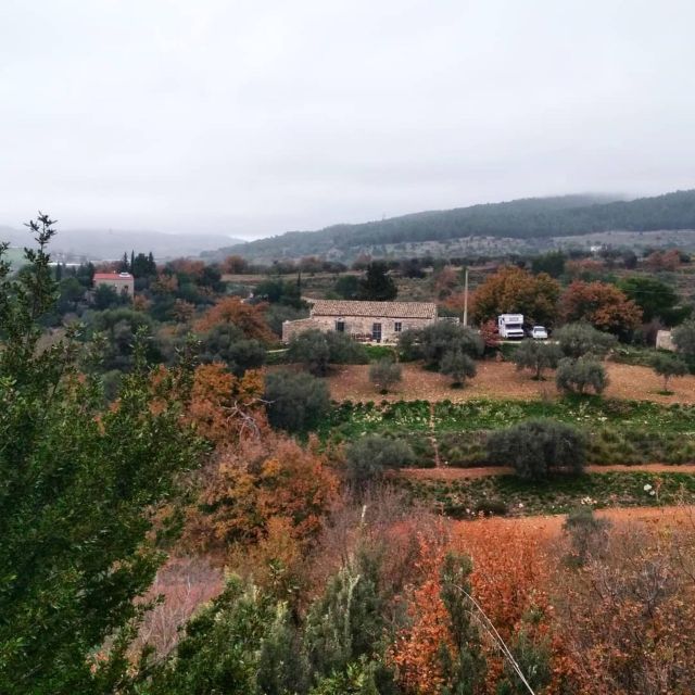Ragusa Countryside Home Cooking Class & Meal - Who This Is Best For (And Who Might Want a Different Plan)