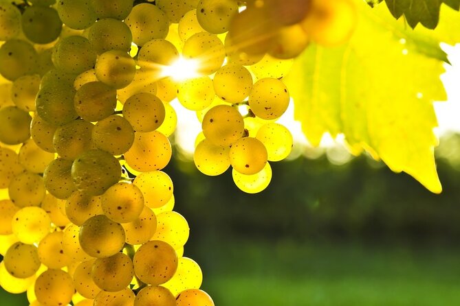 Rhodes Wine & Food Tour: 10 Meal Course Lunch, Wine Tasting, Cooking Class - The one thing to consider: the style of lunch