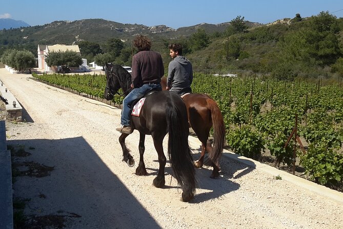 Rhodes Wine & Food Tour: 10 Meal Course Lunch, Wine Tasting, Cooking Class - Getting to the winery: Rhodes pickup that actually matters