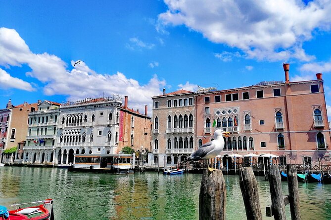 Rialto Market & Seafood Cooking Class in Murano - Who Should Book This Murano Seafood Class