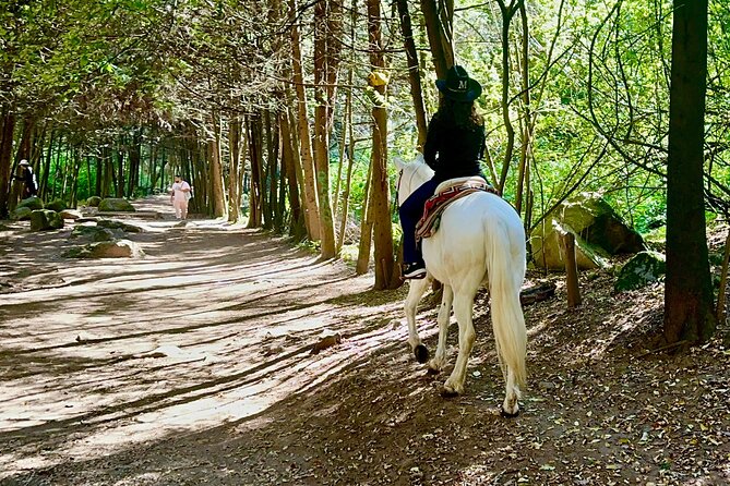 Ride Horses, Learn to Cook with Locals in Mexico City - Picking Up in Condesa: Where the Day Starts