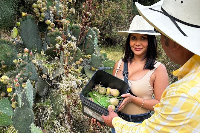 Ride Horses, Learn to Cook with Locals in Mexico City - Turning the Ride Into Cooking Prep: Ingredient Stops on the Way