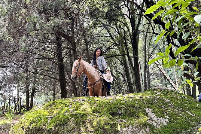 Ride Horses, Learn to Cook with Locals in Mexico City - What’s Included (and What to Budget For) on an 8-Hour Day