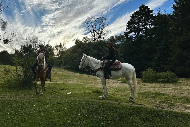 Ride Horses, Learn to Cook with Locals in Mexico City - Who Should Book This Horse-and-Cook Day in Mexico City
