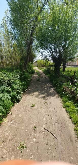 Samarkand: Village Tour with Plov Cooking Class & Home Visit - Entering Uzbek village life: homes, history, and practical culture