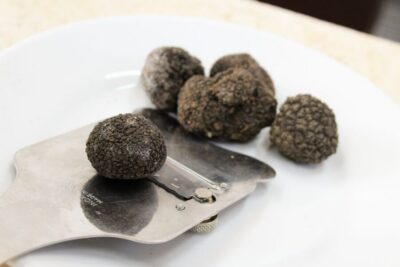 San Gimignano: Truffle Cooking Class with Wine Tasting - The truffle class: what you learn beyond the “wow” factor