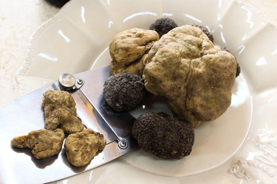 San Gimignano: Truffle Cooking Class with Wine Tasting - Timing and flow: making the most of the 3.5 hours