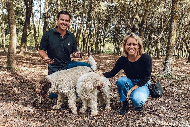 San Gimignano Truffle Hunt & Truffle Cooking Class - Who should book this truffle hunt and cooking class?