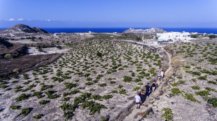 Santorini: Cooking Class and Easy Hike - FAQ
