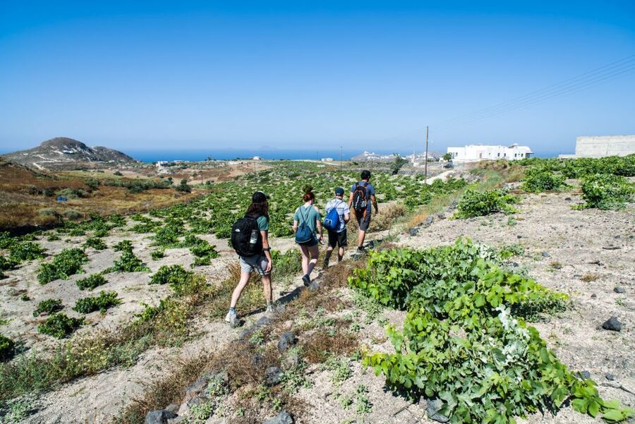 Santorini: Cooking Class and Easy Hike - What the $182 price covers—and why it can feel fair