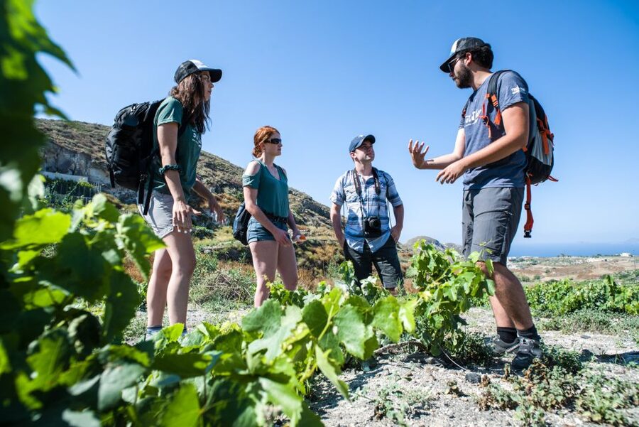 Santorini: Cooking Class and Easy Hike - The honest pros and cons before you decide