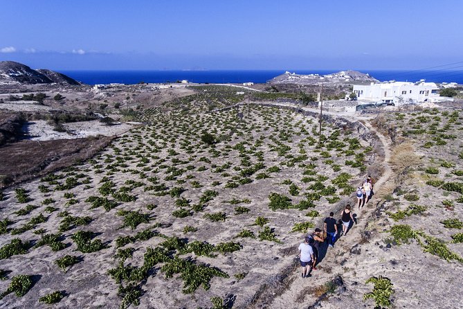 Santorini : Cooking Class & Easy Hike - Guides make the difference: Sophia, Sebastian, and the vibe