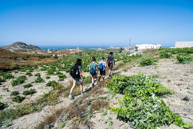 Santorini : Cooking Class & Easy Hike - Price and value in Santorini: what $178+ really covers