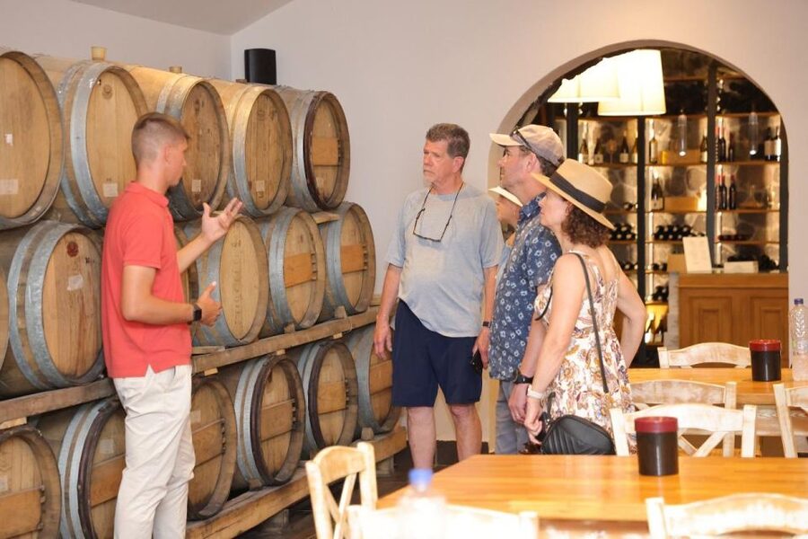 Santorini: Vineyard and Winery Tour with Cooking Class - A traditional winery visit plus cellar time