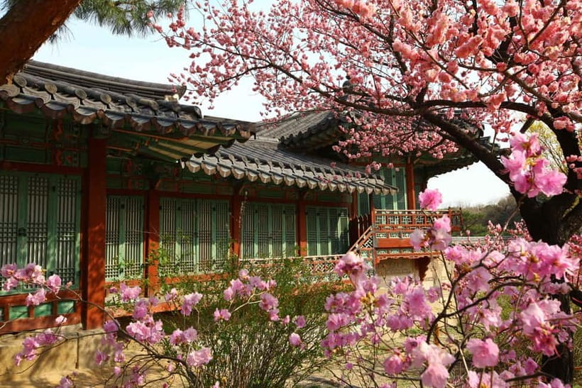 Seoul: Temple Vegan Cooking Class & Oriental Medicine Tour - Timing, Group Pace, and Logistics That Matter