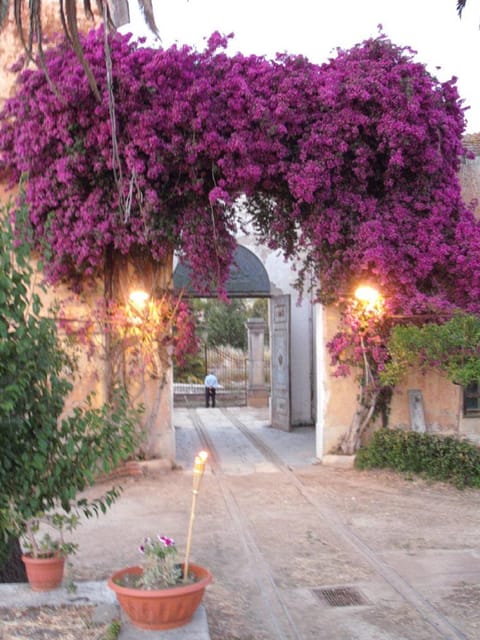 Sicilian cooking class in the historic baglio Florio Adamo - Key Things I’d Put on Your Radar
