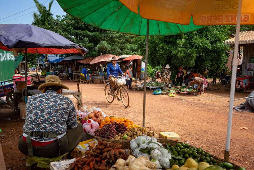 Siem Reap: Afternoon Cooking Class & Village Tour - From rice paddies and temples to a working Siem Reap village