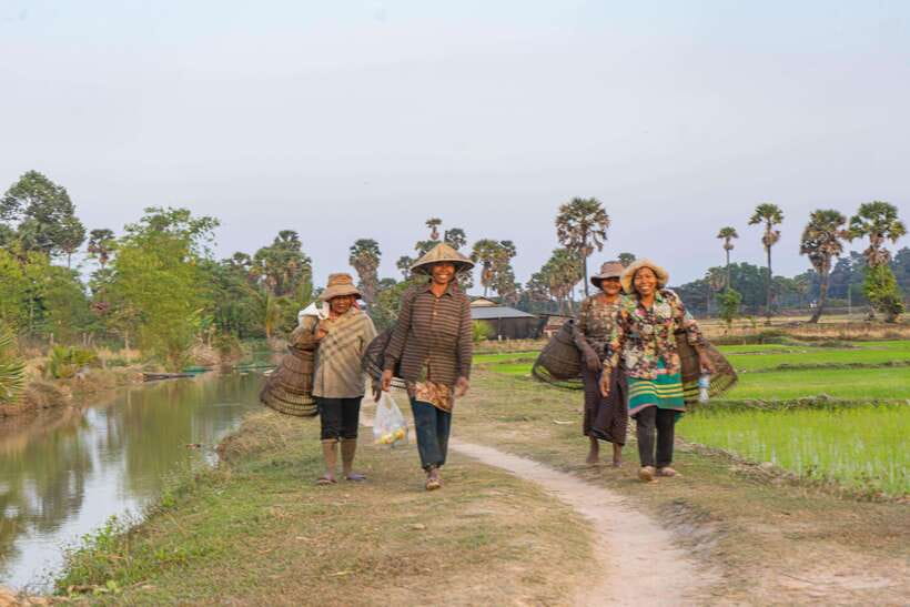 Siem Reap: Afternoon Cooking Class & Village Tour - What you’ll eat: two main dishes, one dessert, plus the dinner vibe