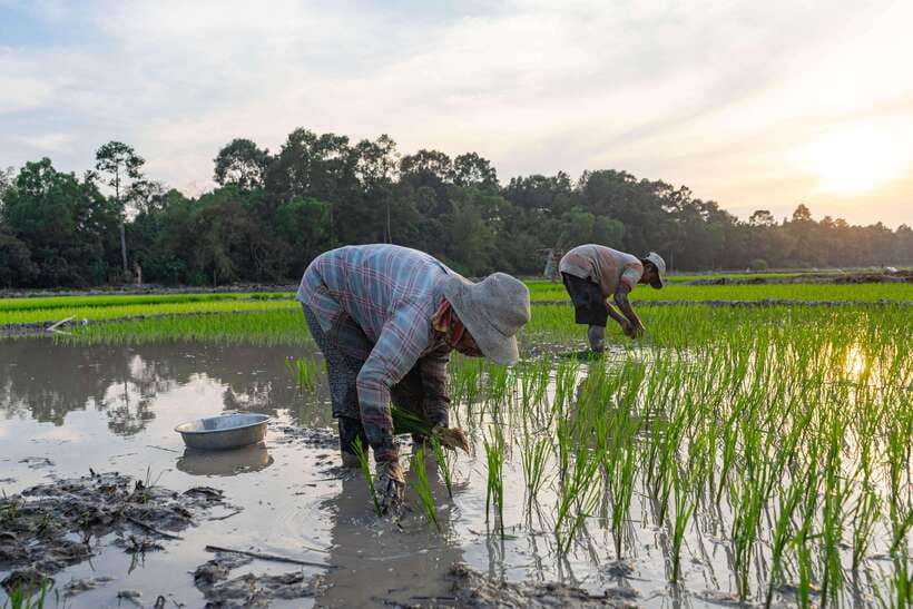 Siem Reap: Afternoon Cooking Class & Village Tour - The recipe book take-home that turns this into a real cooking skill