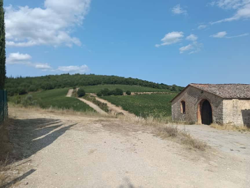 Siena: Small-group Cooking Class in a Chianti Farm - Your Instructor: Italian Chef Simone (and Why That Matters)