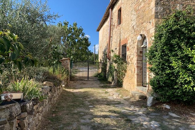 Siena: Small Group Cooking Class in Chianti Farmhouse - The practical flow of the 4-hour lesson