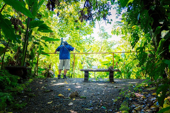 Sloth Tour in La Fortuna and Tortillas Cooking Class - Key moments that make this tour worth your time