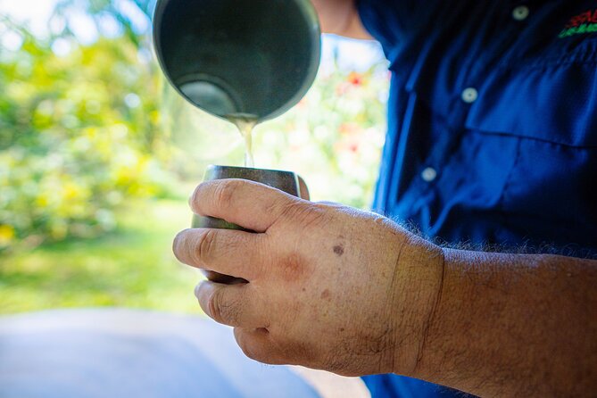 Sloth Tour in La Fortuna and Tortillas Cooking Class - Value check: how $38 stacks up for 2 hours in La Fortuna
