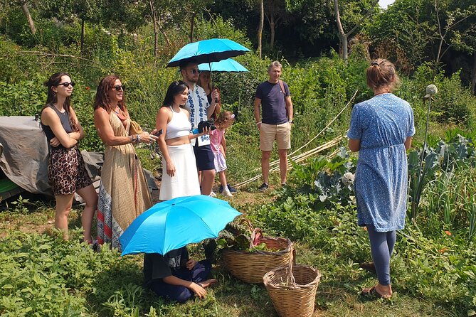 Slowlife Family Farm- Cook with us From Garden to Table Syracuse - Feast by the River Under Ancient Trees (When Weather Allows)