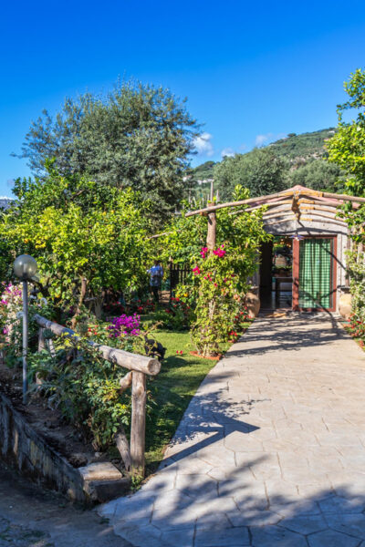 Sorrento Cooking Class: Taste the Tradition feel the Love - Getting there without stress: meeting point and free transport