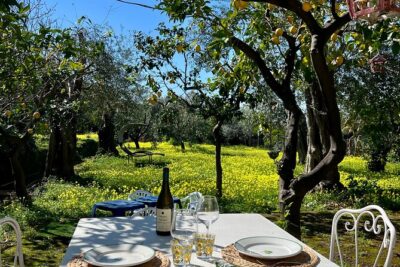 Sorrento : Cooking class & Wine Pairing with Sommelier by the Sea - The tiramisu lesson: a dessert you can plan around