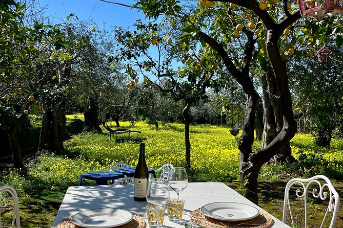 Sorrento : Cooking class & Wine Pairing with Sommelier by the Sea - The tiramisu lesson: a dessert you can plan around