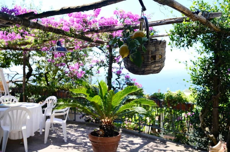 Sorrento: Marì Cooking Class in a Family Farm w/ Coast View - From Sorrento up the coast: the drive that sets the mood