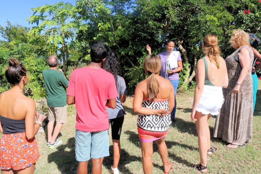 St. John's: Rum Cooking Class with 6 Rum Tastings - The rum tasting: 6 regional pours, tied to food choices