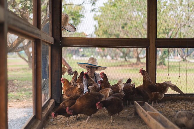 Sunset Thai Cooking with Grandma - Farm & Evening Feast - What the meal feels like after you cook it